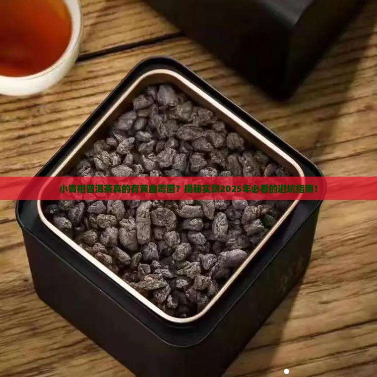 小青柑普洱茶有黄曲霉菌吗