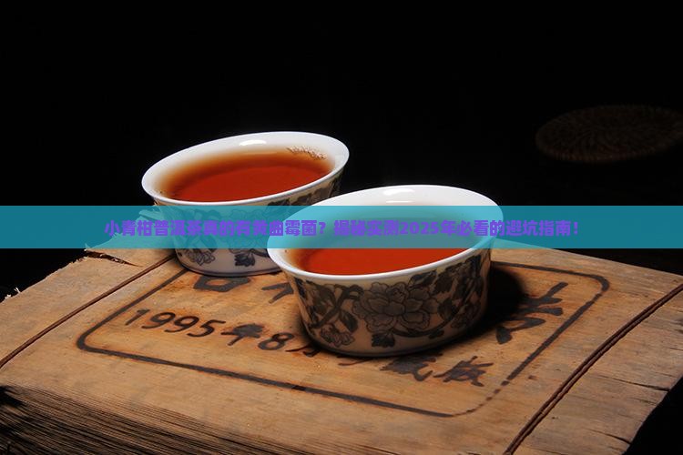 小青柑普洱茶有黄曲霉菌吗