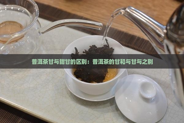 普洱茶甘与甜甘的区别