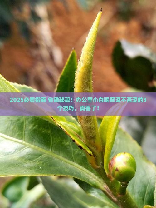 普洱茶怎么喝着不苦不涩
