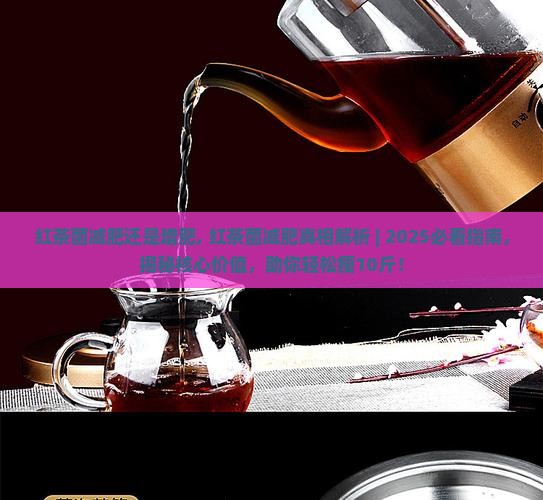 红茶菌减肥还是增肥