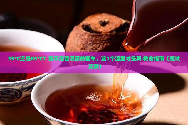 普洱茶适合什么温度泡