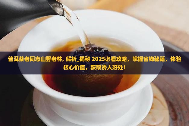 普洱茶老同志山野老林