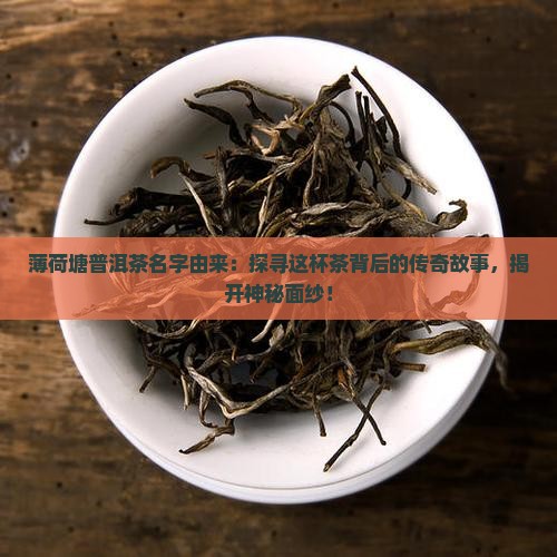 薄荷塘普洱茶名字由来