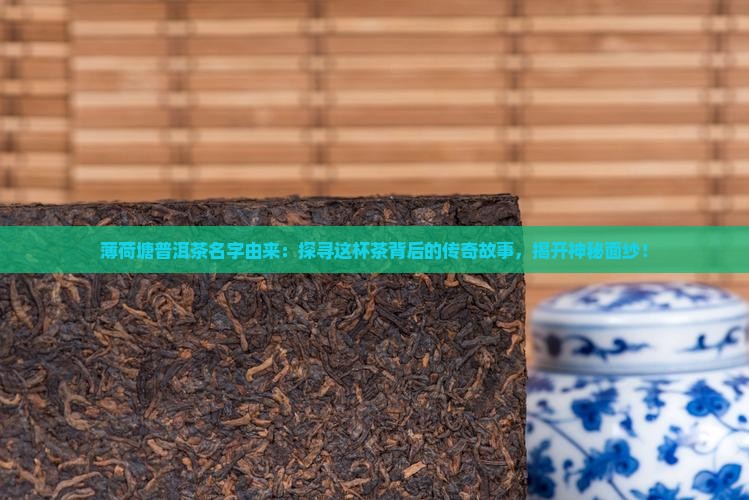 薄荷塘普洱茶名字由来