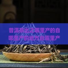 普洱茶出之哪里