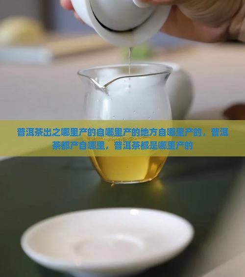 普洱茶出之哪里