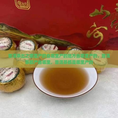 普洱茶出之哪里