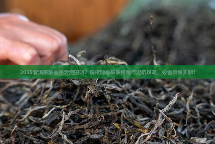 普洱茶糯香是天然的吗