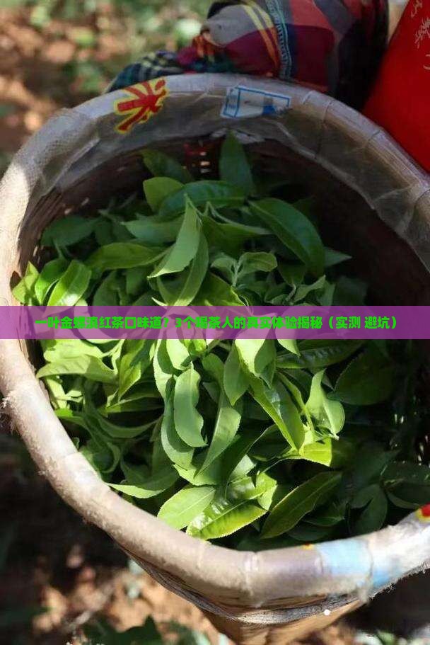 一叶金螺滇红茶口味道