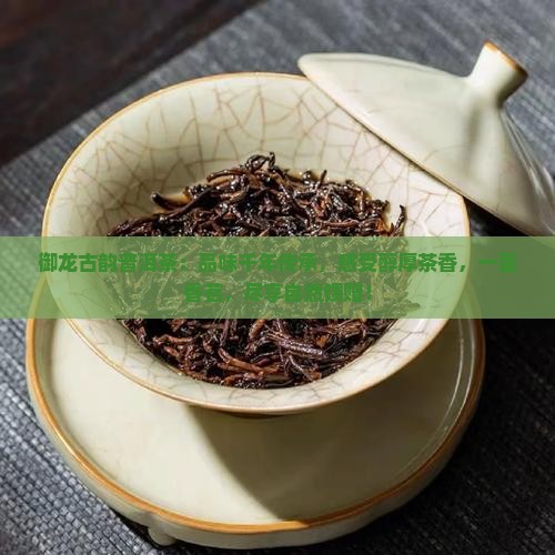 御龙古韵普洱茶