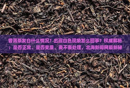 普洱茶发白什么情况