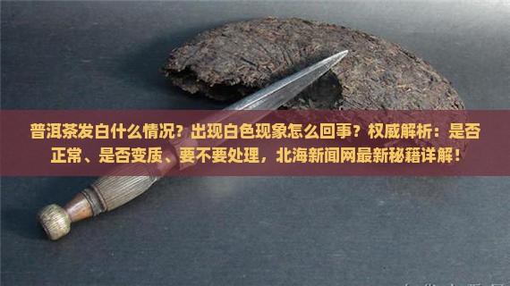 普洱茶发白什么情况
