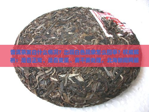 普洱茶发白什么情况