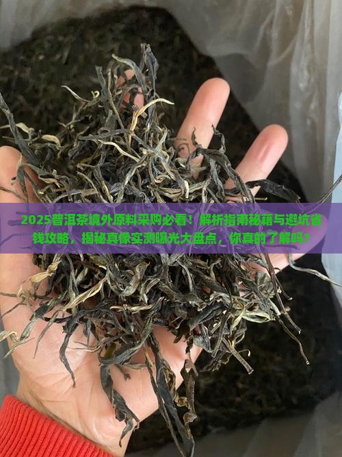 普洱茶境外原料采购