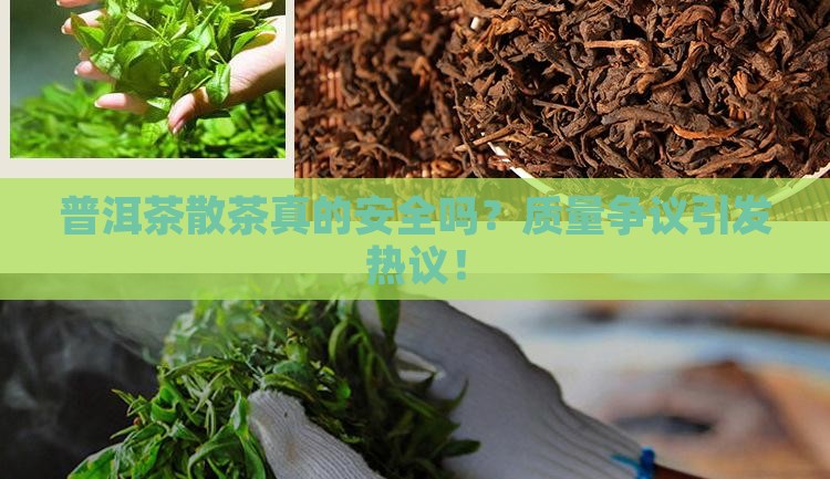 普洱茶散茶诉讼