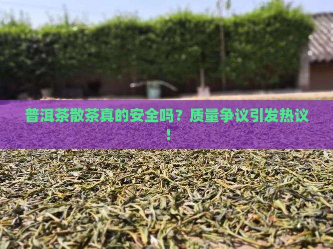 普洱茶散茶诉讼