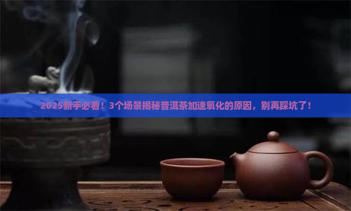 普洱茶加速氧化