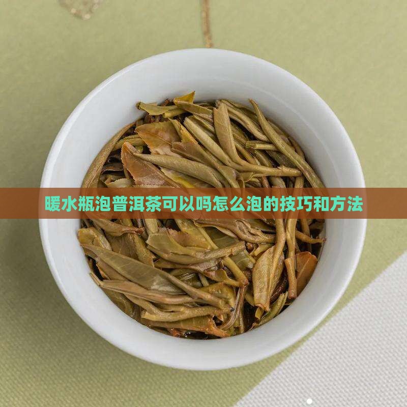 暖水瓶泡普洱茶可以吗怎么泡