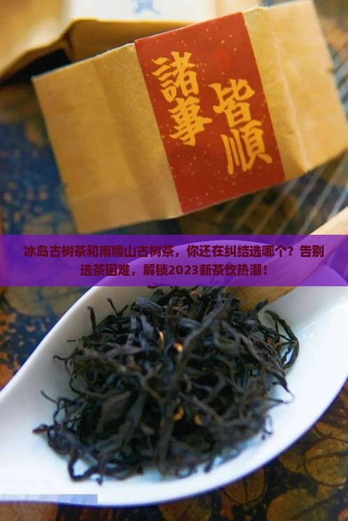 冰岛古树茶和南糯山古树茶