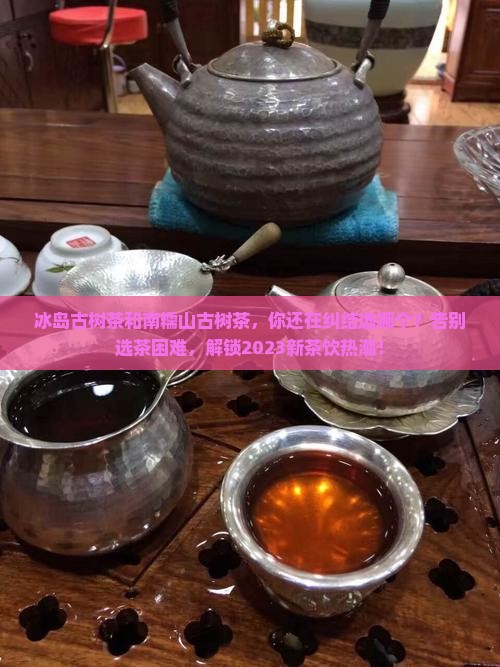 冰岛古树茶和南糯山古树茶