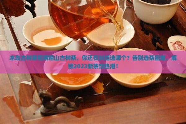 冰岛古树茶和南糯山古树茶