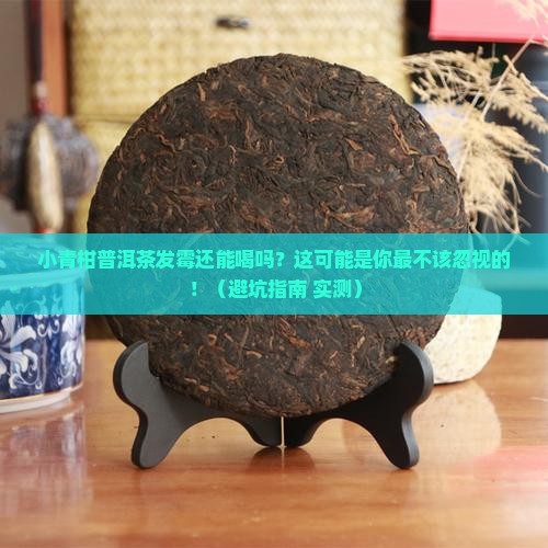 小青柑普洱茶发霉还能喝吗
