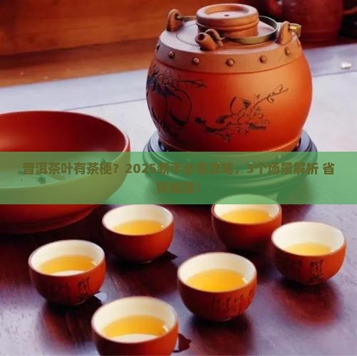 普洱茶叶有茶梗