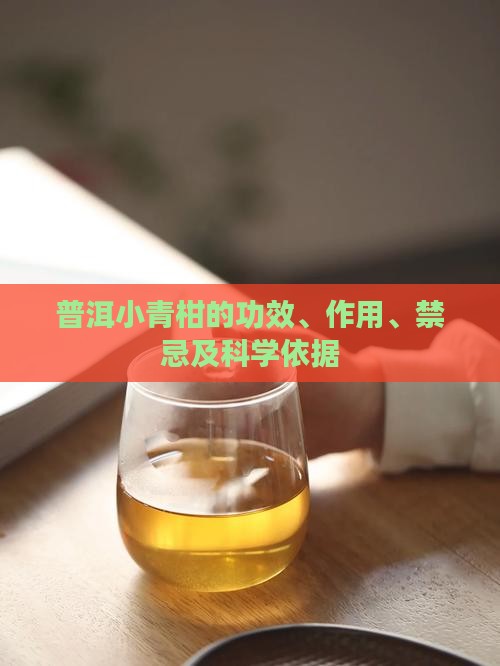 普洱小青柑的功效