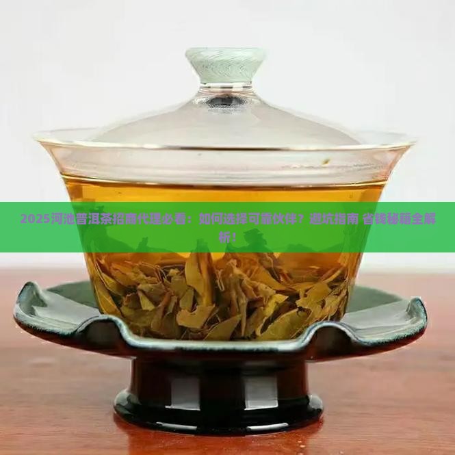 河池可靠普洱茶招商代理