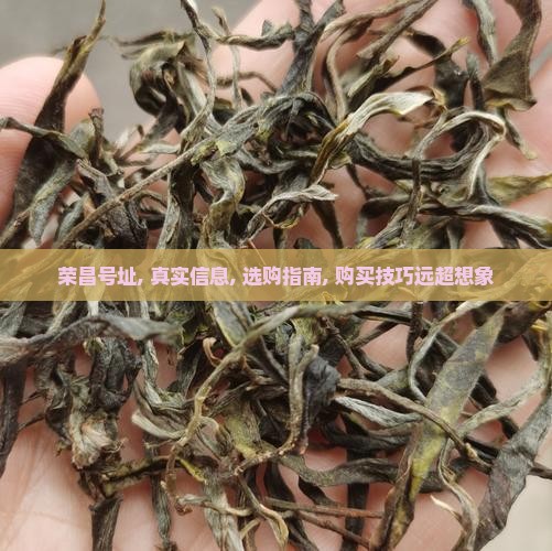 荣昌号普洱茶官网网址