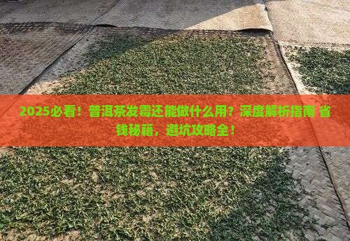 普洱茶发霉还能做什么用 普洱茶发霉还能做什么用