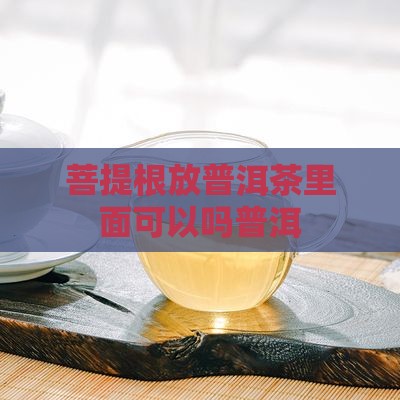 菩提根放普洱茶里面可以吗