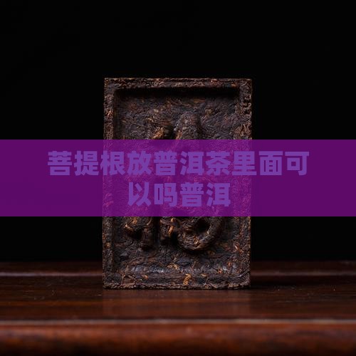菩提根放普洱茶里面可以吗