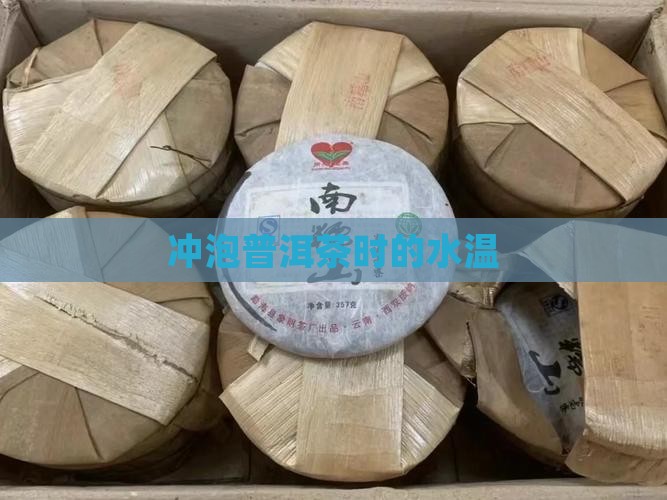 冲泡普洱茶时的水温