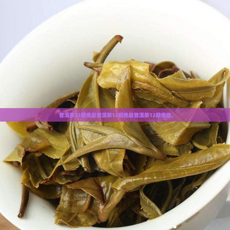 普洱茶12期免息
