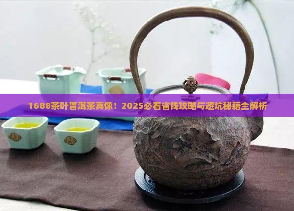 1688茶叶普洱茶