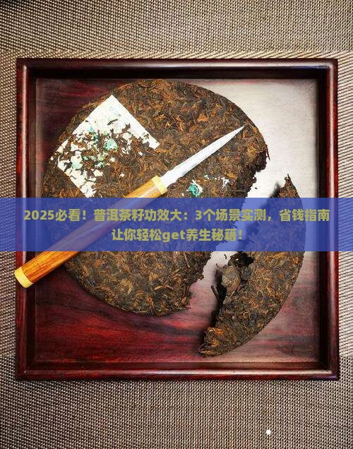 普洱茶籽的功效与作用