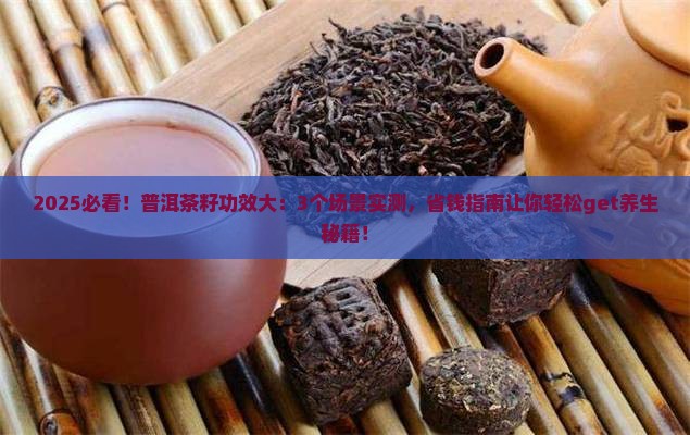 普洱茶籽的功效与作用