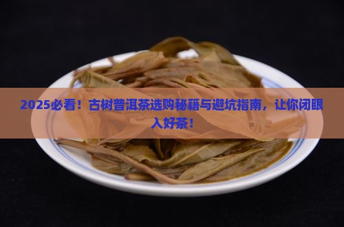 古树普洱茶如何买到好的