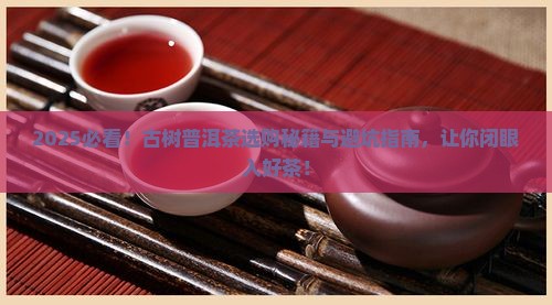古树普洱茶如何买到好的