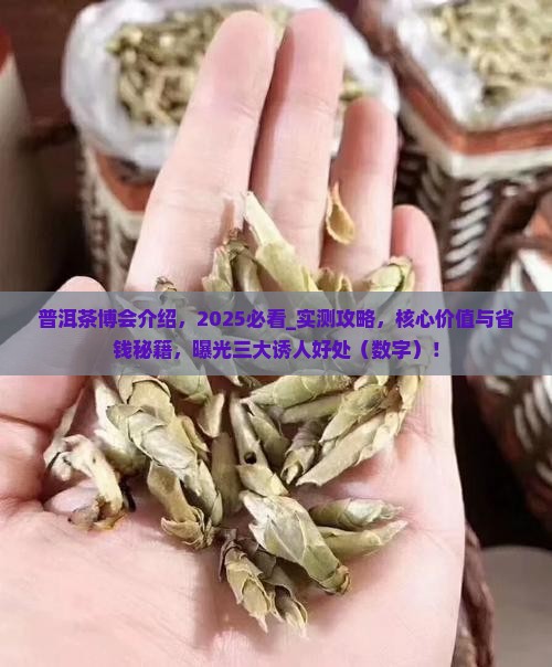 普洱茶博会介绍