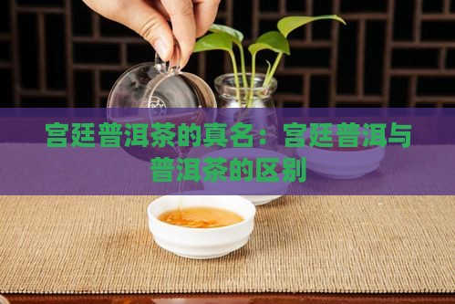 宫廷普洱茶的真名