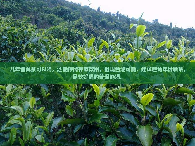 几年的普洱茶可以喝