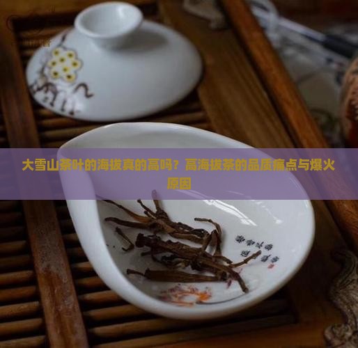 大雪山茶叶的海拔