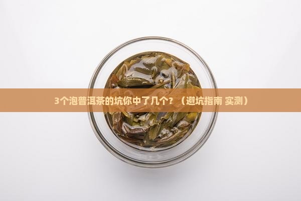 普洱茶用什么泡茶好一点