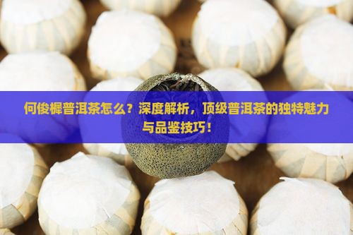 何俊樨普洱茶怎么