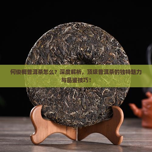 何俊樨普洱茶怎么