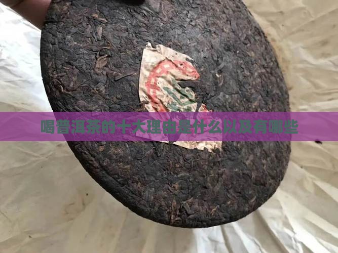 喝普洱茶的十大理由