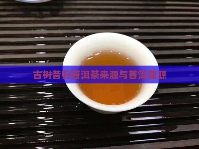 昔归古树茶来源 昔归古树茶来源